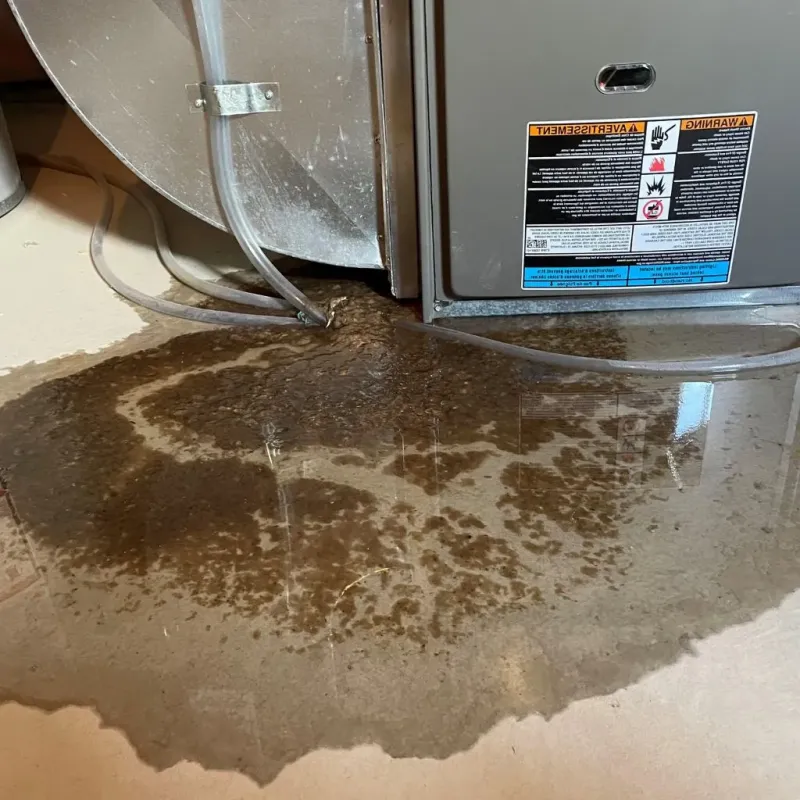 Pipe Burst and Leak Restoration in Carrizozo, NM