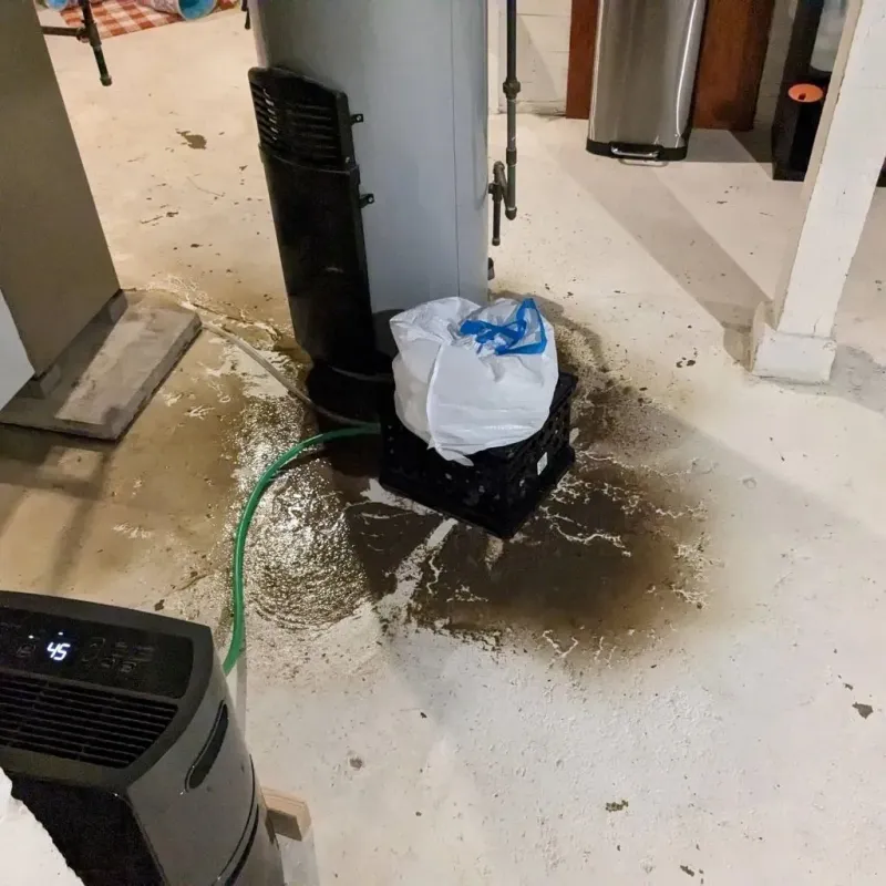 Sewage Backup Cleanup Service in Carrizozo, NM